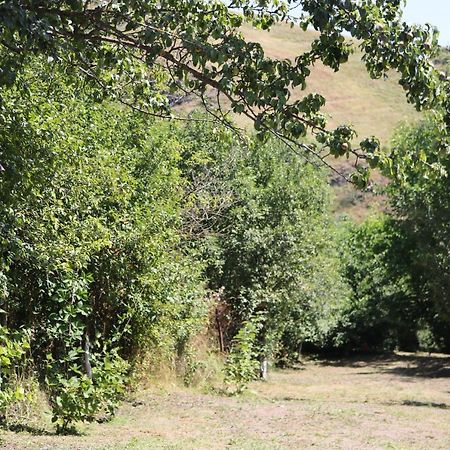 Villa Shamakhyan Dilijan Luaran gambar