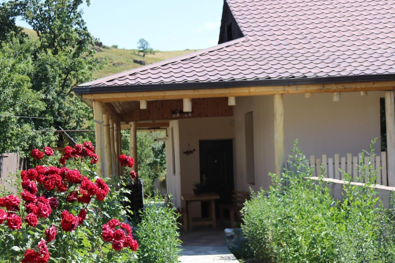 Villa Shamakhyan Dilijan Luaran gambar