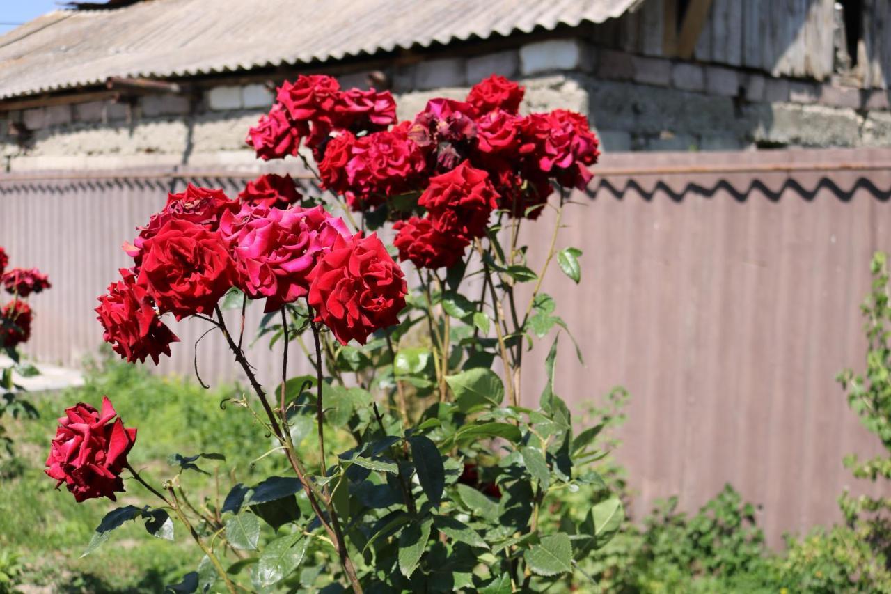 Villa Shamakhyan Dilijan Luaran gambar