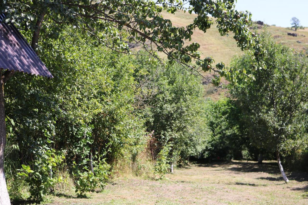 Villa Shamakhyan Dilijan Luaran gambar